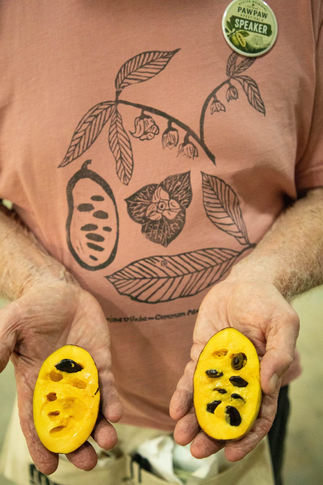 Halved pawpaws held in weathered hands